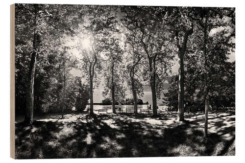 Wood print View of the Rose Island