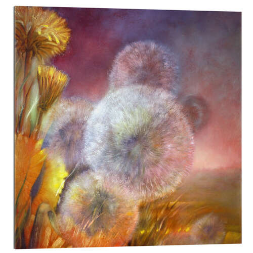 Quadro em plexi-alumínio Delicate dandelion