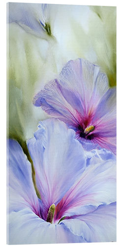 Acrylic print Hibiscus