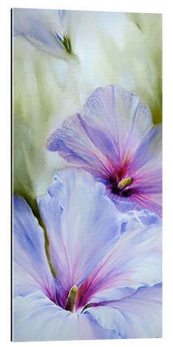 Gallery print Hibiscus