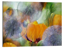 Tableau en aluminium Poppies and Dandelions