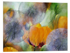 Foam board print Poppies and Dandelions