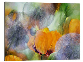 Stampa su plexi-alluminio Poppies and Dandelions