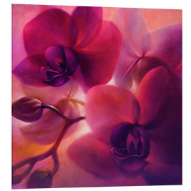 Foam board print Orchids