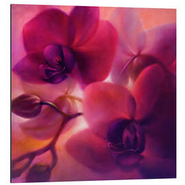 Magnettafel Orchideen