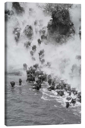 Canvastavla Great Migration of the Gnus in the Masai Mara