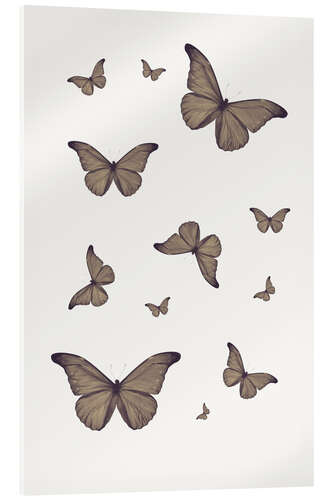 Acrylic print Brown Butterflies