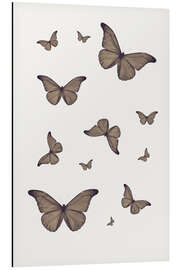 Magnettafel Braune Schmetterlinge
