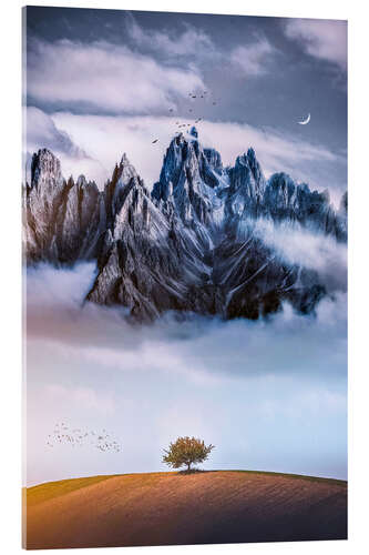 Acrylglas print Lonesome tree in front of the misty mountain