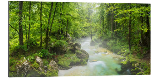 Stampa su alluminio Bluntautal, Austria