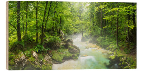 Stampa su legno Bluntautal, Austria