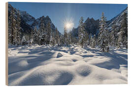 Holzbild Fischleintal, Tirol