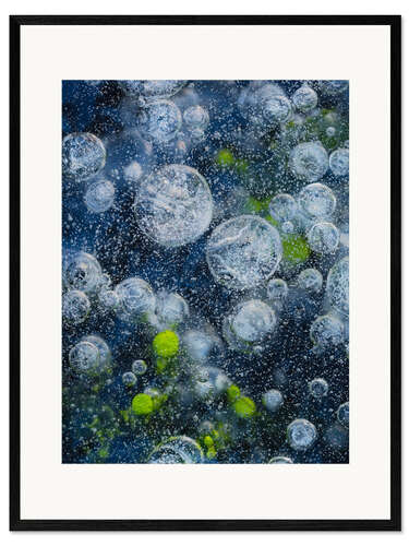 Impresión de arte enmarcada Abstract image of bubbles and waterplants in Ice