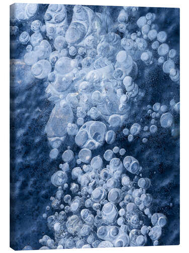 Tableau sur toile Bubbles in Ice