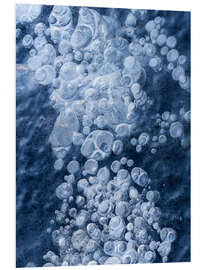 Foam board print Bubbles in Ice