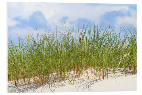 Quadro em PVC Fresh green grass on a dune