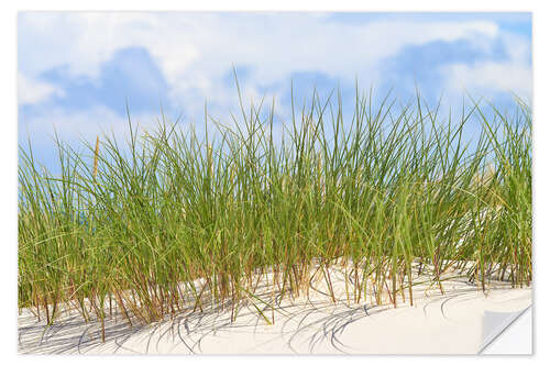 Selvklebende plakat Fresh green grass on a dune