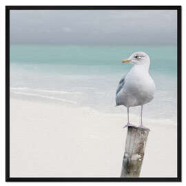 Gerahmter Kunstdruck Möwe am Strand