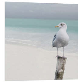 Foam board print Seagull on the beach