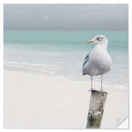 Wall sticker Seagull on the beach