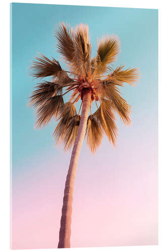 Akrylbilde California Dreaming - The Pastel Palm