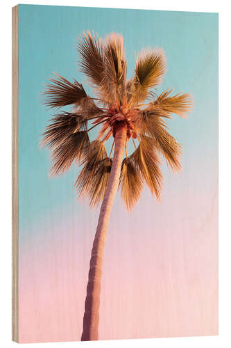 Holzbild California Dreaming - Die Pastellpalme