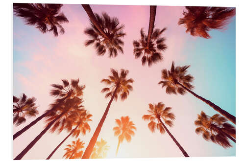 PVC print California Dreaming - Beverly Hills Sunset Palms