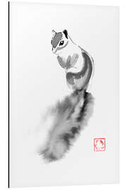 Aluminium print Squirrel