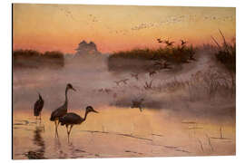 Quadro em alumínio The Dawn of the Bird Kingdom, 1906