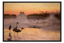 Gerahmter Kunstdruck Die Morgenröte des Vogelreichs, 1906