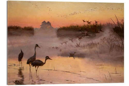 Gallery print The Dawn of the Bird Kingdom, 1906