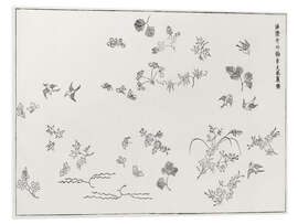 Foam board print Yatsuo No Tsubaki - Birds &amp; Butterflies