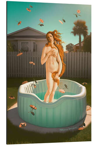 Stampa su alluminio Pool Venus