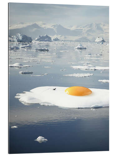 Gallery print Egg-berg - Arctic Egg Sunny Side Up