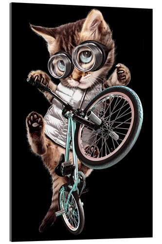 Obraz na szkle akrylowym BMX Cat