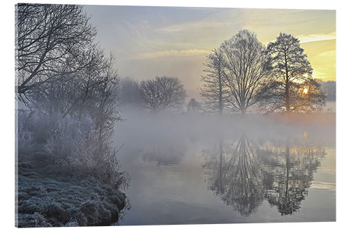 Acrylic print Frosty morning in the fog