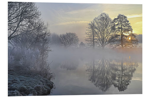 PVC-taulu Frosty morning in the fog