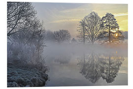 PVC print Frosty morning in the fog