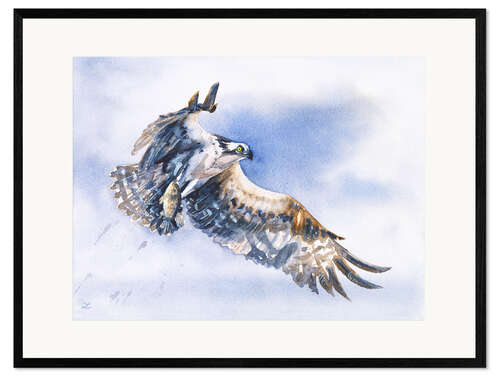 Gerahmter Kunstdruck Seeadler