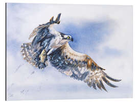 Magnettafel Seeadler