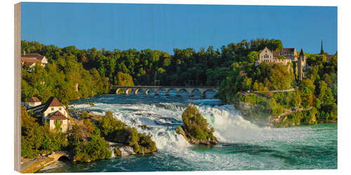 Obraz na drewnie Rhine Waterfalls at Schaffhausen I