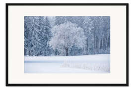 Gerahmter Kunstdruck Ein eisiger Morgen am Waldrand