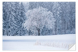 Selvklæbende plakat An icy morning at the edge of the forest