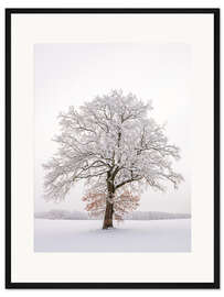 Gerahmter Kunstdruck Frostiger Morgen