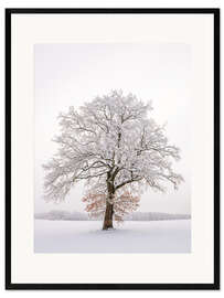 Ingelijste kunstdruk Frosty Morning