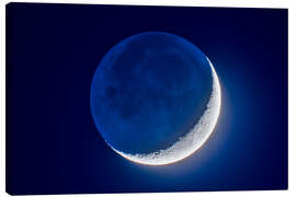 Canvas print 4-day old waxing crescent moon