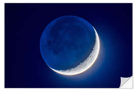 Muursticker 4-day old waxing crescent moon