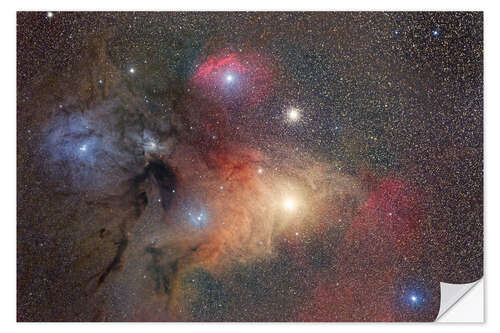 Muursticker Antares Region