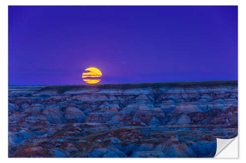 Selvklæbende plakat Close-up of the full Harvest Moon rising over the Dinosaur Provincial Park, Canada