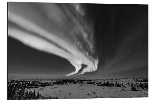 Tableau en aluminium Aurora, Churchill, Manitoba, Canada